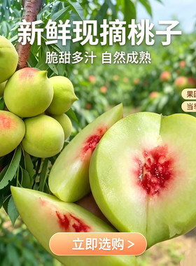 蕉岭广福桃花源山庄现摘现发新鲜鹰嘴桃甜桃水蜜桃脆桃果园直发