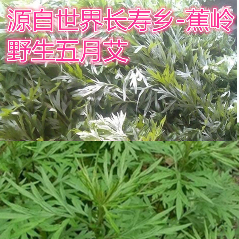 蕉嶺特産深山野生五月艾艾草苦蒿湯料全根250G需要其它跟店主說在類目 水產肉類/新鮮蔬果/熟食, 新鮮蔬菜/蔬菜製品, 新鮮蔬菜, 其它中 - 來自Buy2taobao.com提供專業的淘寶代購服務