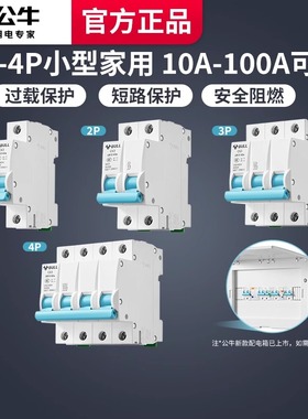 公牛空气开关断路器1p总开关2p电闸63a保护器家用塑壳c32空开100a