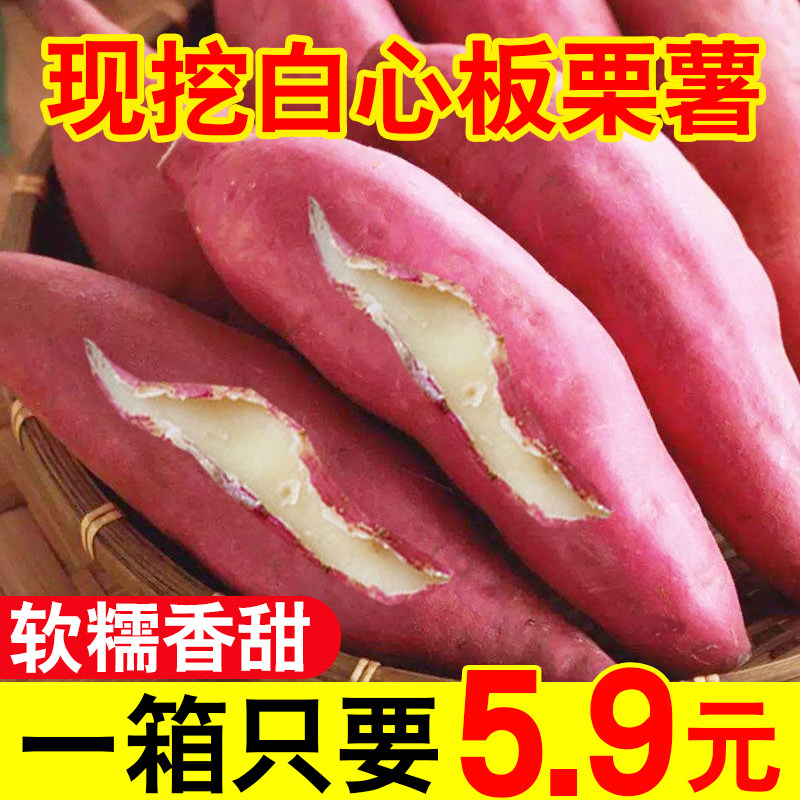正宗白心红薯新鲜板栗薯老品种红皮白瓤白瓤番薯地瓜白薯山芋粉糯
