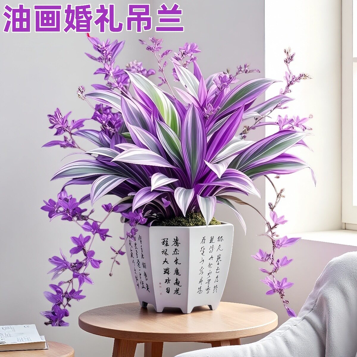 油画婚礼吊兰大苗盆栽进口垂吊爆盆紫露兰好养活绿植室内多肉植物图片