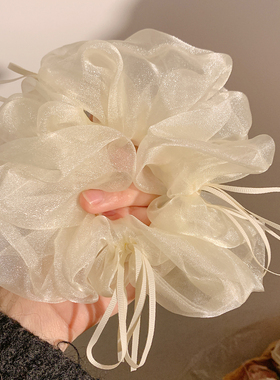 温柔米色欧根纱蝴蝶结大肠发圈女气质复古发绳扎头发头饰春夏季