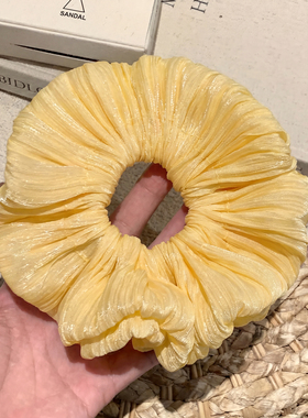 气质韩系黄色缎面大肠发圈女高级感简约小众头饰发绳扎头发百搭
