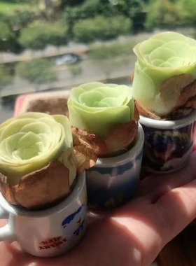 酒杯山地玫瑰组合山地玫瑰耶罗酒杯鸡蛋小玉多肉植物套餐懒人植物