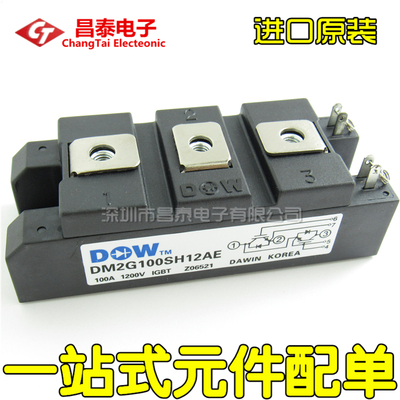 进口原装DM2G100SH12AE