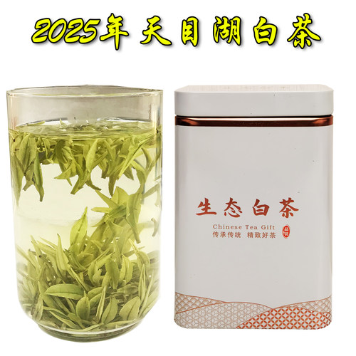 2025天目湖白茶叶包邮春茶铁罐装明前茶特级江苏溧阳常州促销醇香