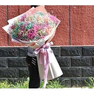 云浮市云安区富林镇南盛镇前锋镇石城镇鲜花店蛋糕店速递玫瑰花束