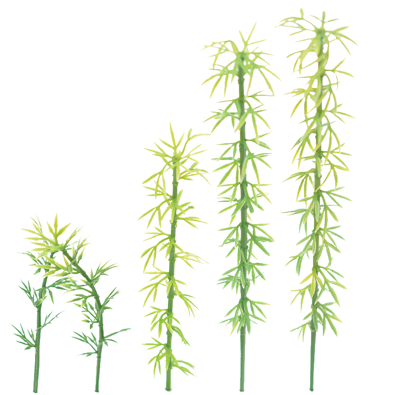 DIY手工沙盘建筑模型制作材料配景微缩景观环艺园林塑料 竹子模型