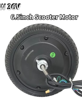 Electric Scooter Motor Hoverboard Replacement Parts