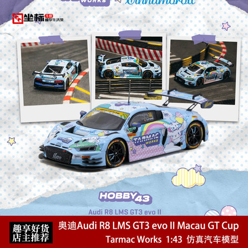 TW 1:43 奥迪Audi R8 LMS GT3 EVO II 澳门赛玉桂狗 合金汽车模型