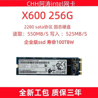 闪迪X600256GM.2企业级SSD