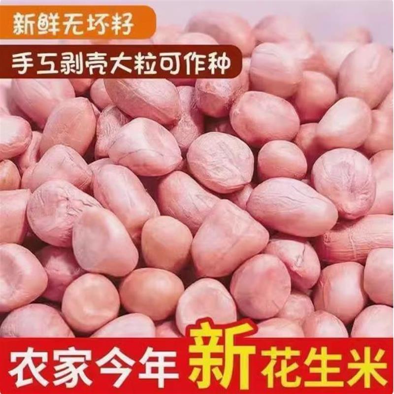 2024年生花生米大粒白沙花生仁商用5斤农家新鲜去壳榨油花生新货