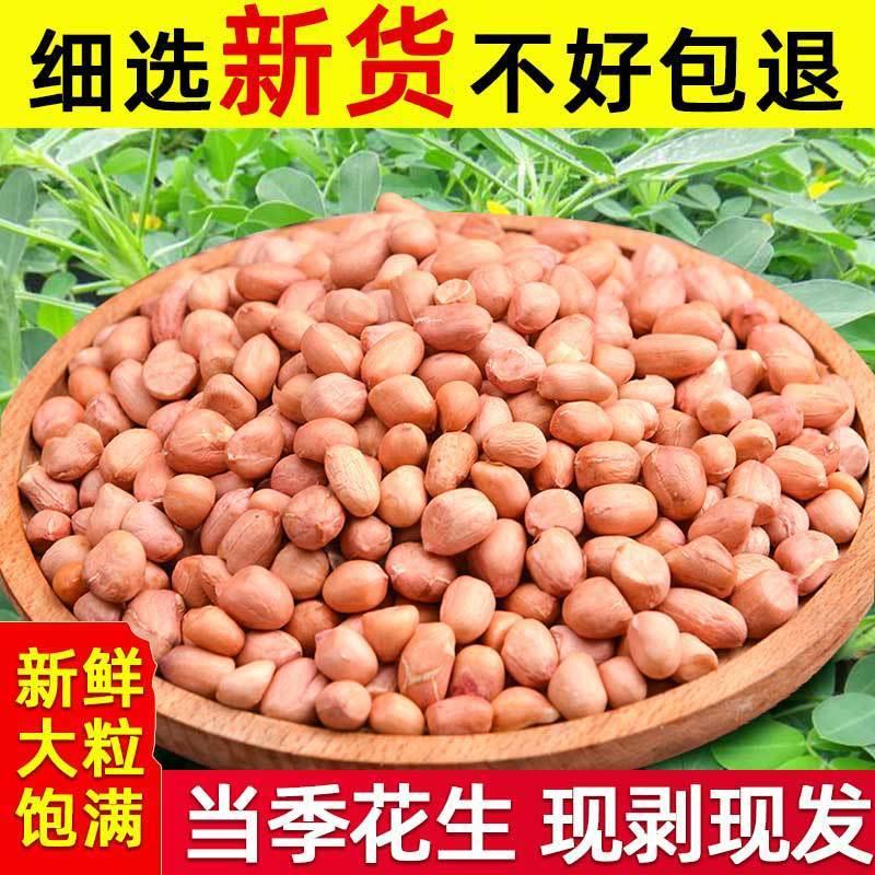 2024年新生花生米商用大粒不带壳河南农家白沙优质花生豆榨油