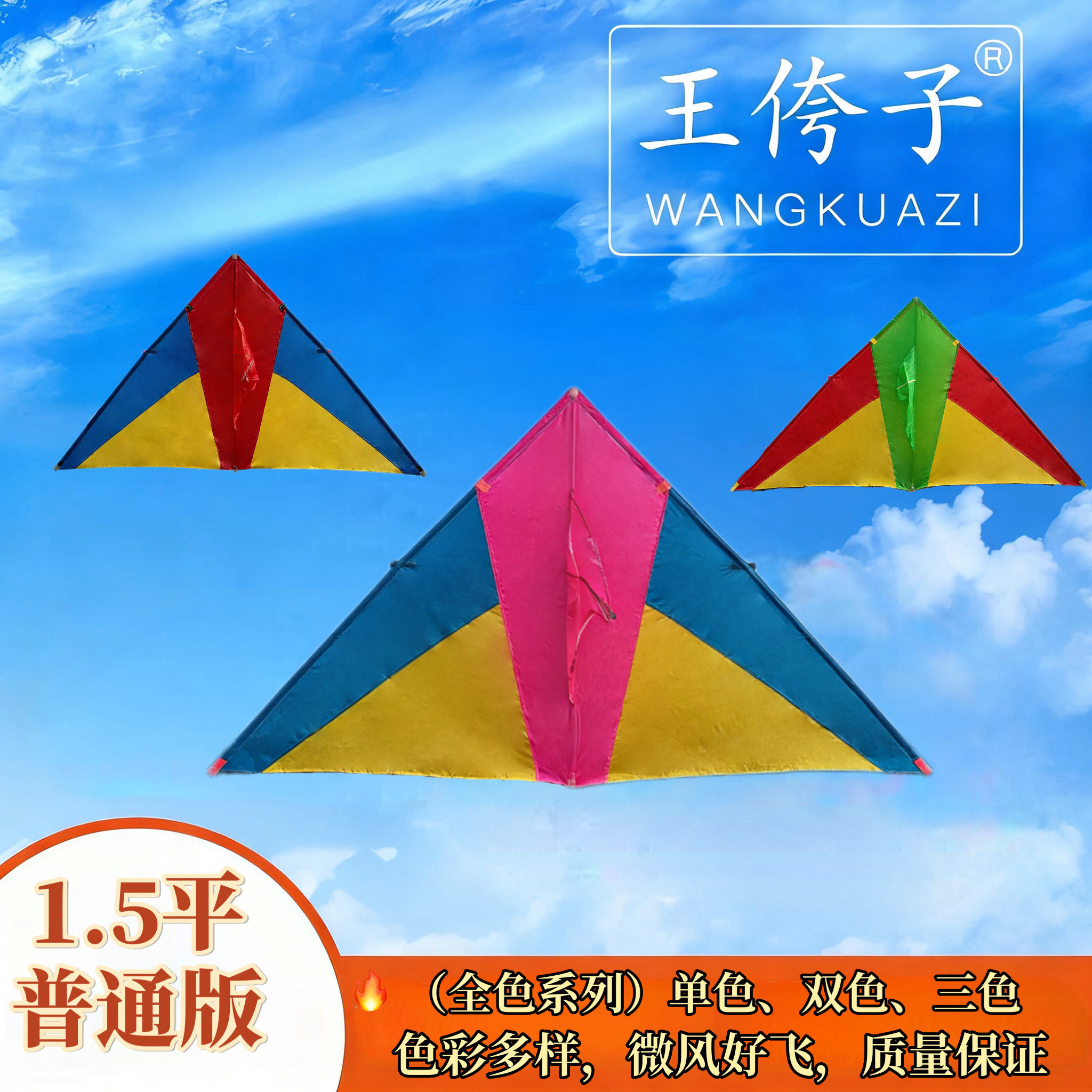 潍坊正品王侉子伞布易飞特大风筝图片