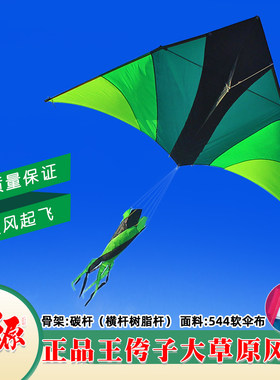 潍坊王侉子风筝2026新款伞布碳杆