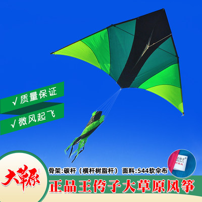 潍坊王侉子风筝2022新款伞布碳杆