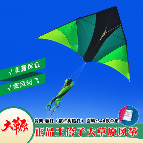 潍坊王侉子风筝2026新款伞布碳杆