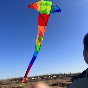 潍坊王侉子风筝 3米-4米 （滑翔机544伞布大宽尾）   质量好