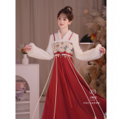 苏里糖 惊鸿一舞 汉服国风新中式 瑶西 裙民族风汉服冬款 连衣裙