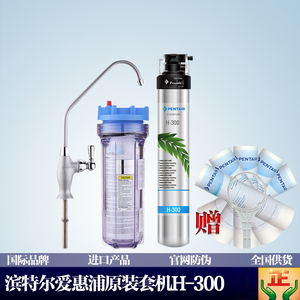 滨特尔爱惠浦原装正品净水器H300 家用厨房台下自来水直饮过滤机