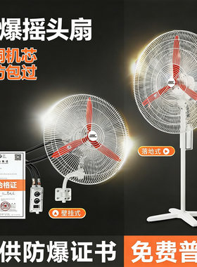防爆摇头扇FB/BTS-500落地式600壁式750工业防爆风扇220V电风扇