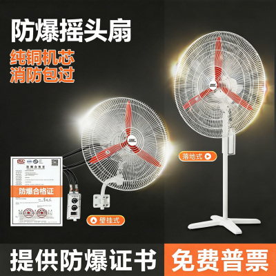 防爆摇头扇FB/BTS-500落地式600壁式750工业防爆风扇220V电风扇