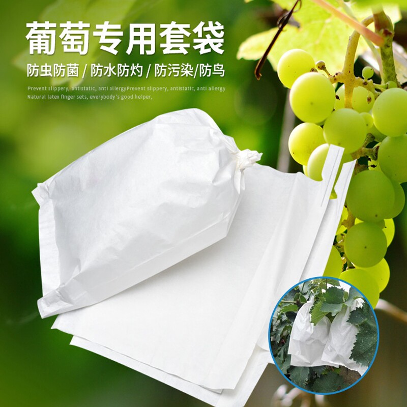 葡萄套袋专用袋纸袋阳光玫瑰果树防虫防鸟防雨水保护袋子水果套袋