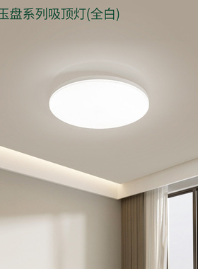 雷士照明LED过道灯 卧室灯阳台灯吸顶灯 IP40防蚊防尘 玉盘吸顶灯
