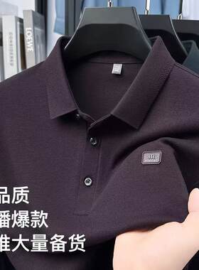 保罗男士长袖T恤春秋款休闲翻领polo衫男中年爸爸装宽松大码上衣