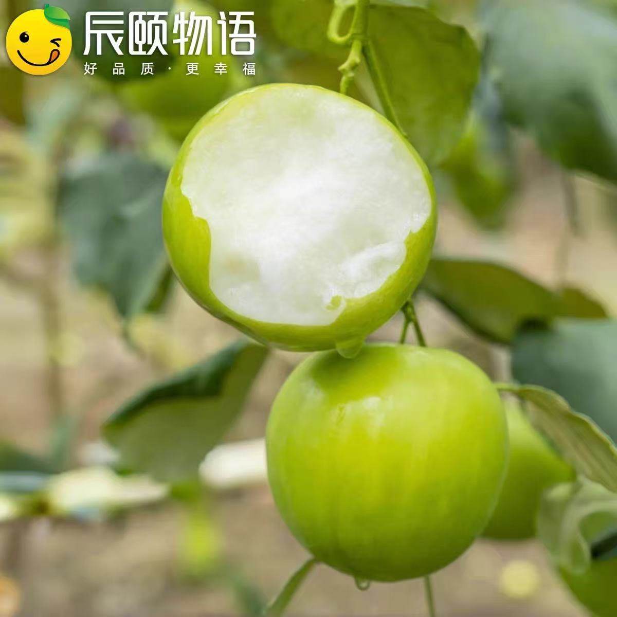 辰颐物语云南苹果枣甜脆青枣非福建贵妃牛奶枣新鲜大枣子应季水果,水产肉类/新鲜蔬果/熟食,枣,淘宝优惠券,粉丝福利购,淘宝优惠卷