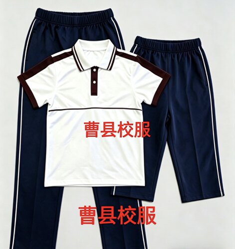 曹县短袖版型和学校一模一样校服裤子短裤全国通用面料透气不起球