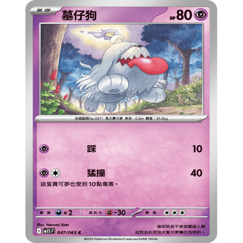 PTCG卡牌繁中墓仔狗C平卡