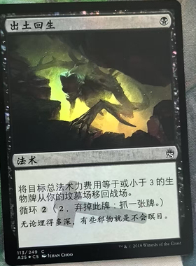 【北境卡牌】万智牌 出土回生 Unearth A25 简中平闪 铁