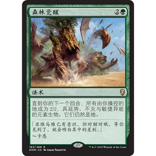 万智牌 森林觉醒 Sylvan Awakening DOM 中/英文 平/闪卡 金