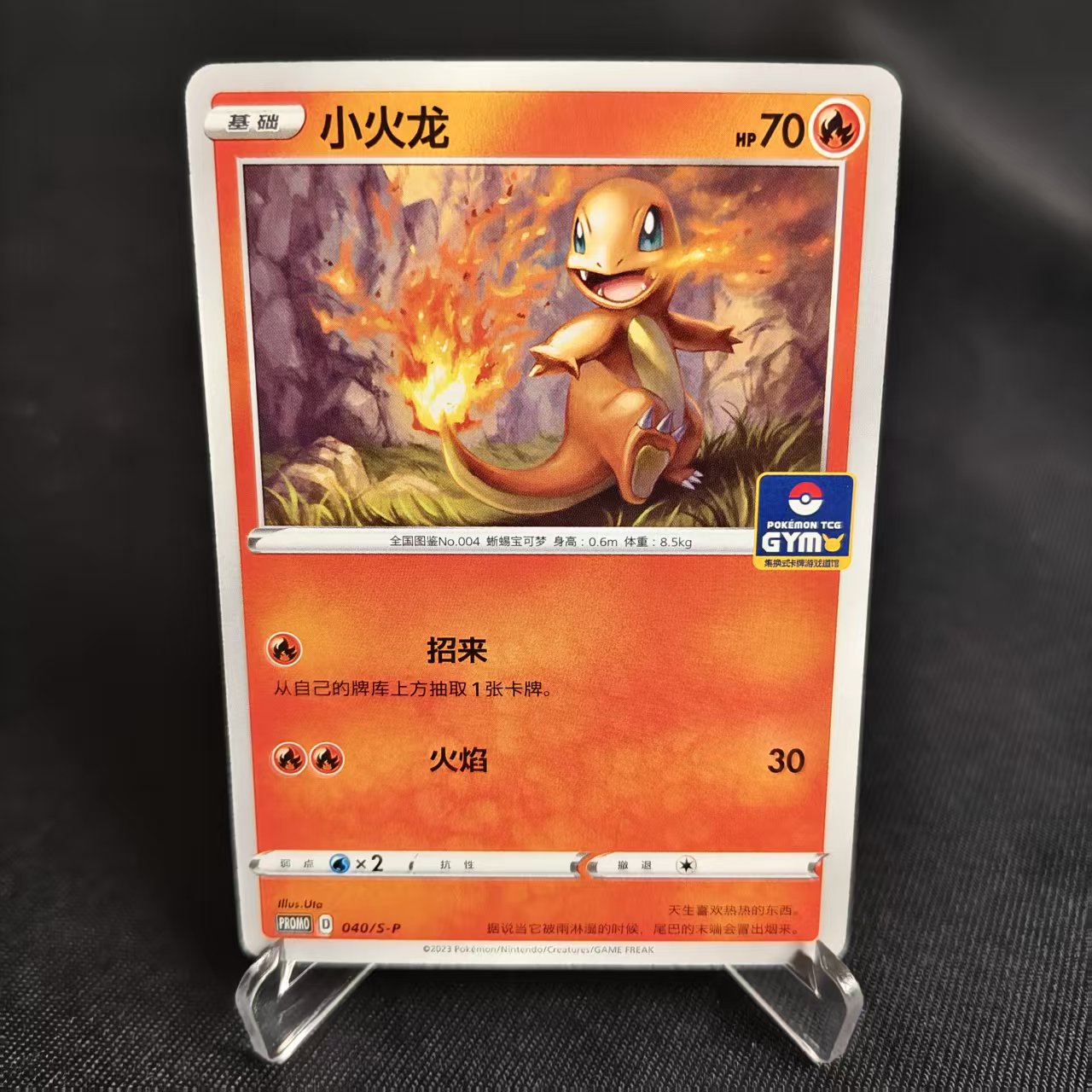 PTCG卡牌简中PROMO小火龙P卡