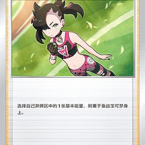 简中宝可梦玛俐的骄傲预组平卡