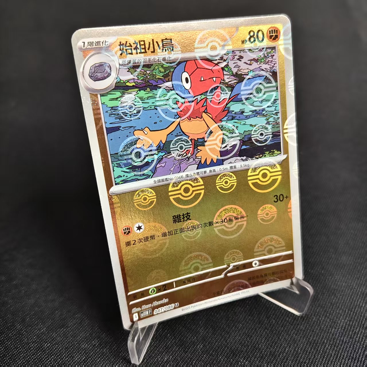 PTCG卡牌繁中始祖小鸟精灵球闪