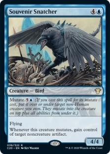 万智牌战利品窃鸦C20英文平卡