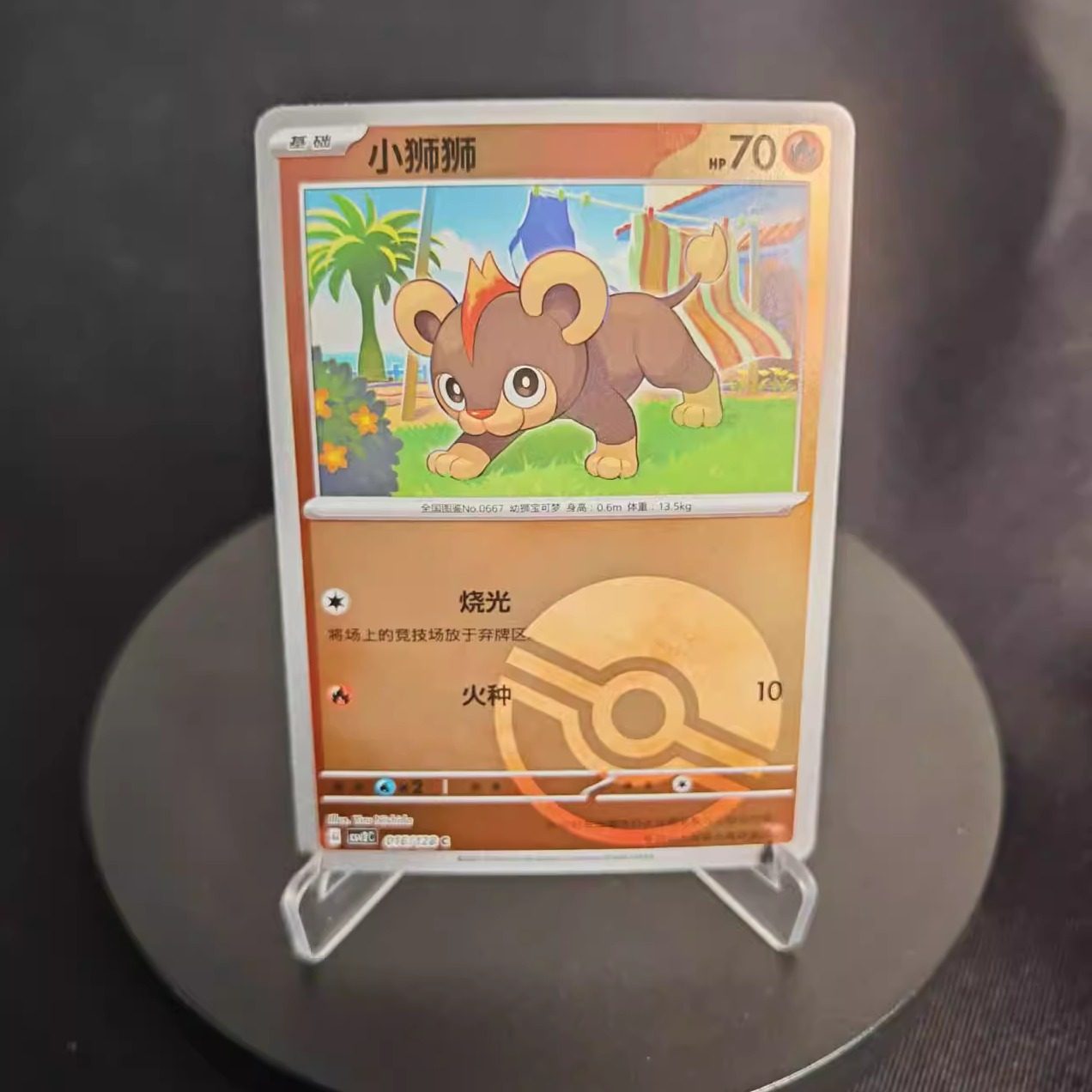 PTCG卡牌简中小狮狮C平/球闪