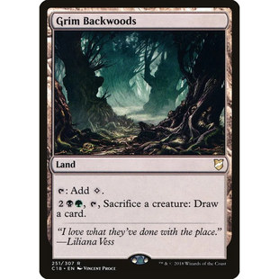 【北境卡牌】万智牌 阴森蛮荒林 GrimBackwoods C18 英文平卡 金