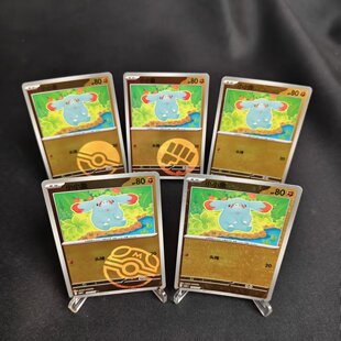 【北境卡牌】PTCG正版宝可梦 简中宝石包第5弹 CBB5 小小象 闪卡