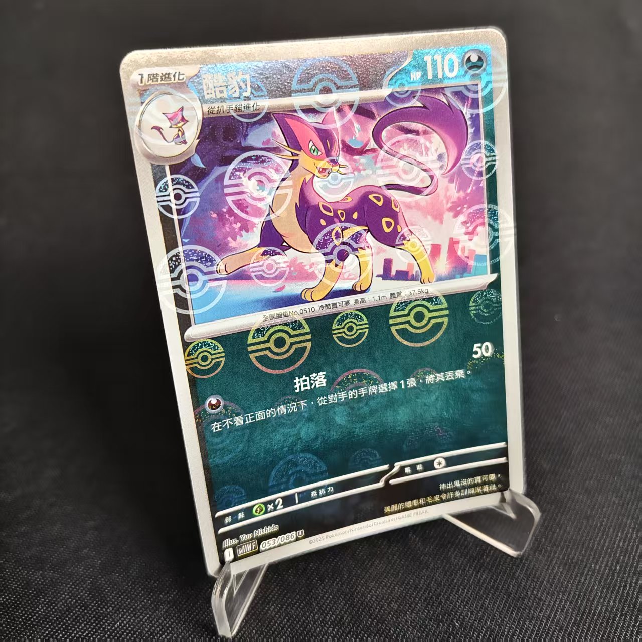 PTCG卡牌繁中酷豹精灵球闪