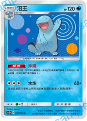 【北境卡牌】PTCG宝可梦卡牌