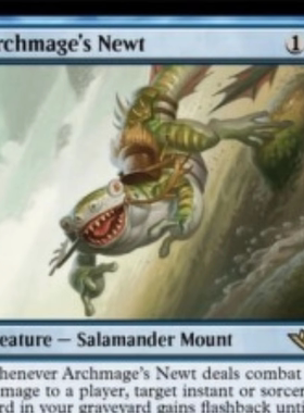 万智牌 光雷驿镖客 OTJ 大法师的蝾螈 Archmage's Newt 英文平 金