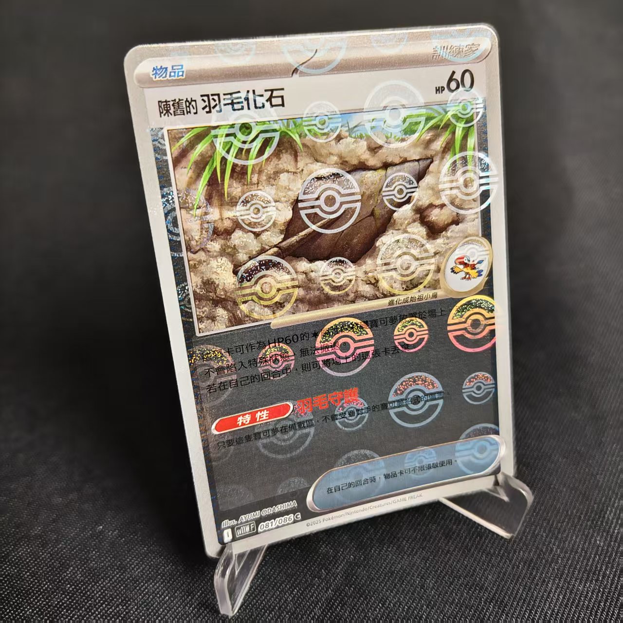 PTCG卡牌繁中陈旧的羽毛化石