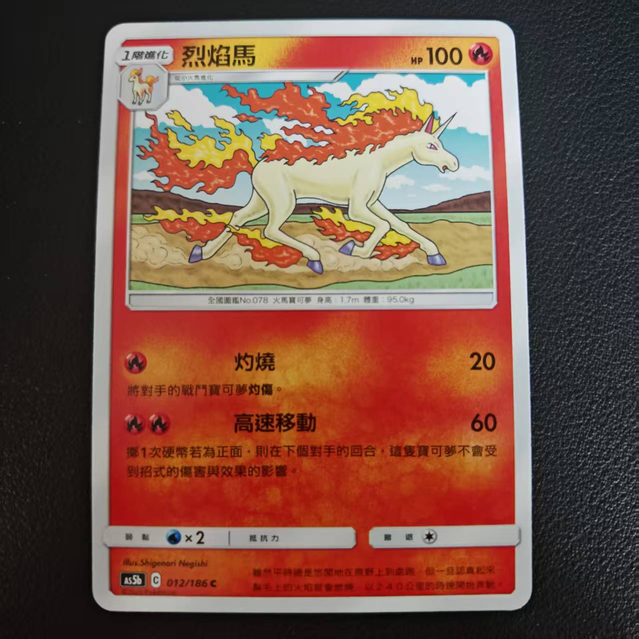 宝可梦繁体PTCG烈焰马