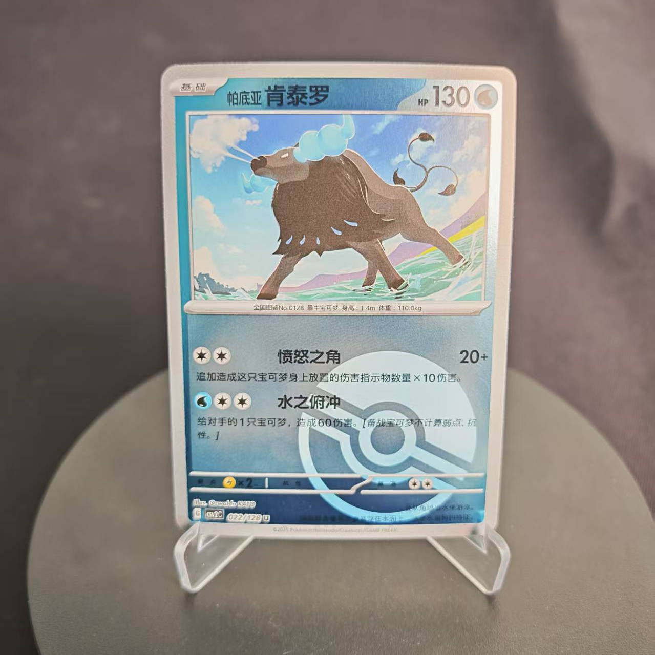 PTCG卡牌帕底亚肯泰罗平/闪