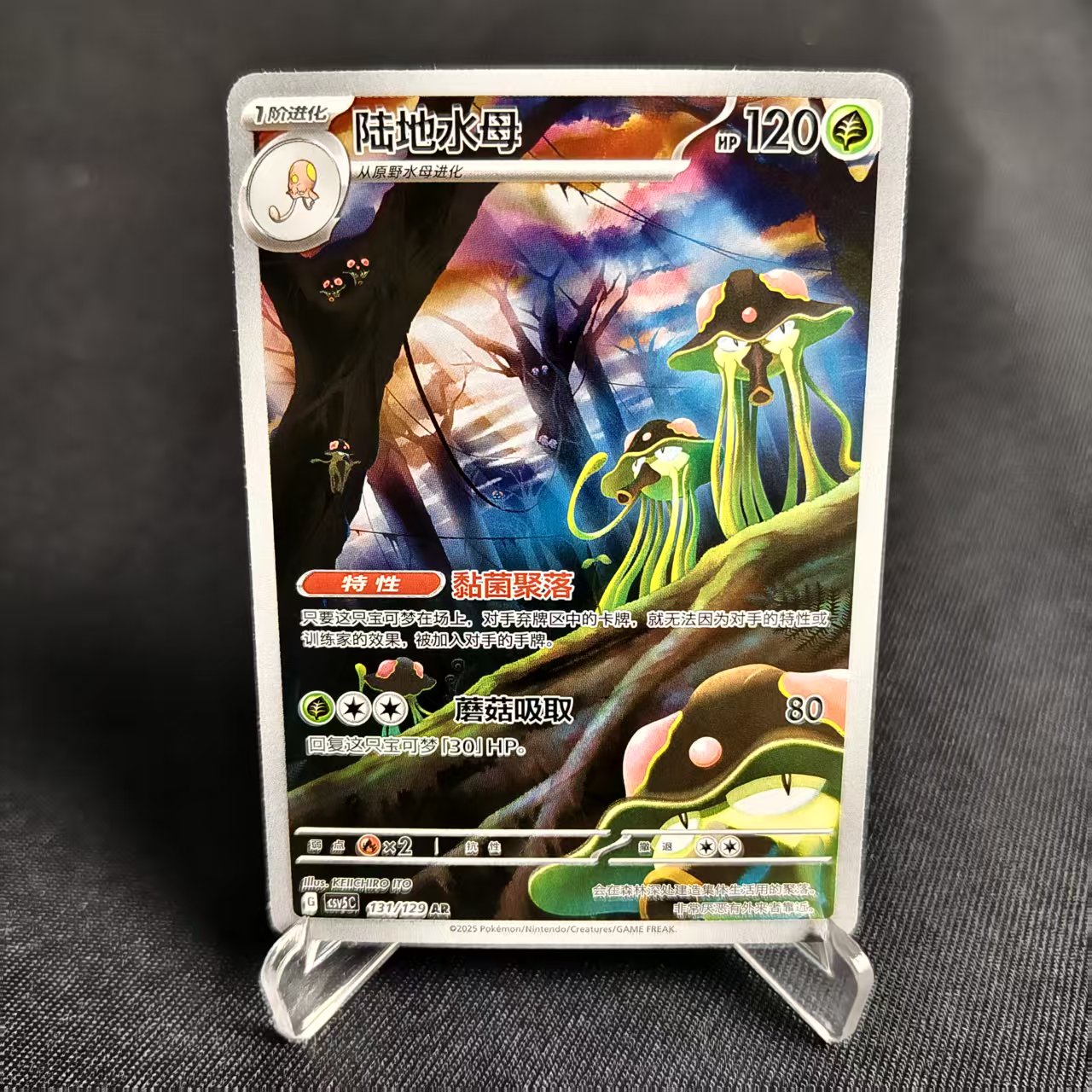 PTCG卡牌简中陆地水母AR闪
