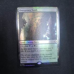 【北境卡牌】万智牌ECL洛温 蔓生墓园 Overgrown Tomb 英文美印闪