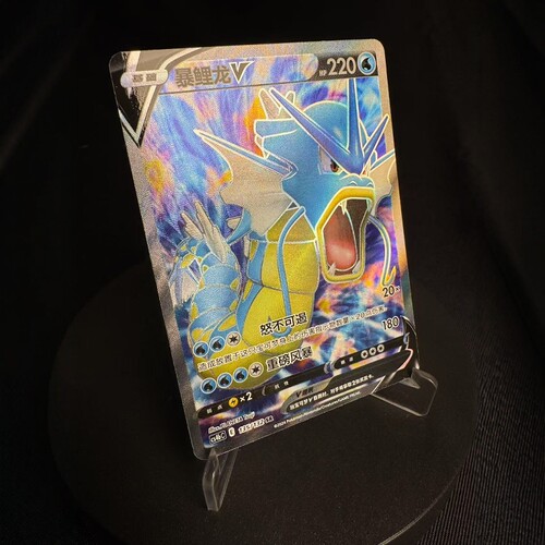 简中6弹卡牌PTCG暴鲤龙VSR闪